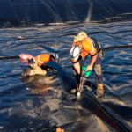 Геомембраны HDPE и защита окружающей среды